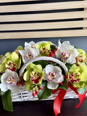 Cos floral Extravaganta cu orhidee cymbidium albe și verzi, livrare flori Iași prin azalee.ro